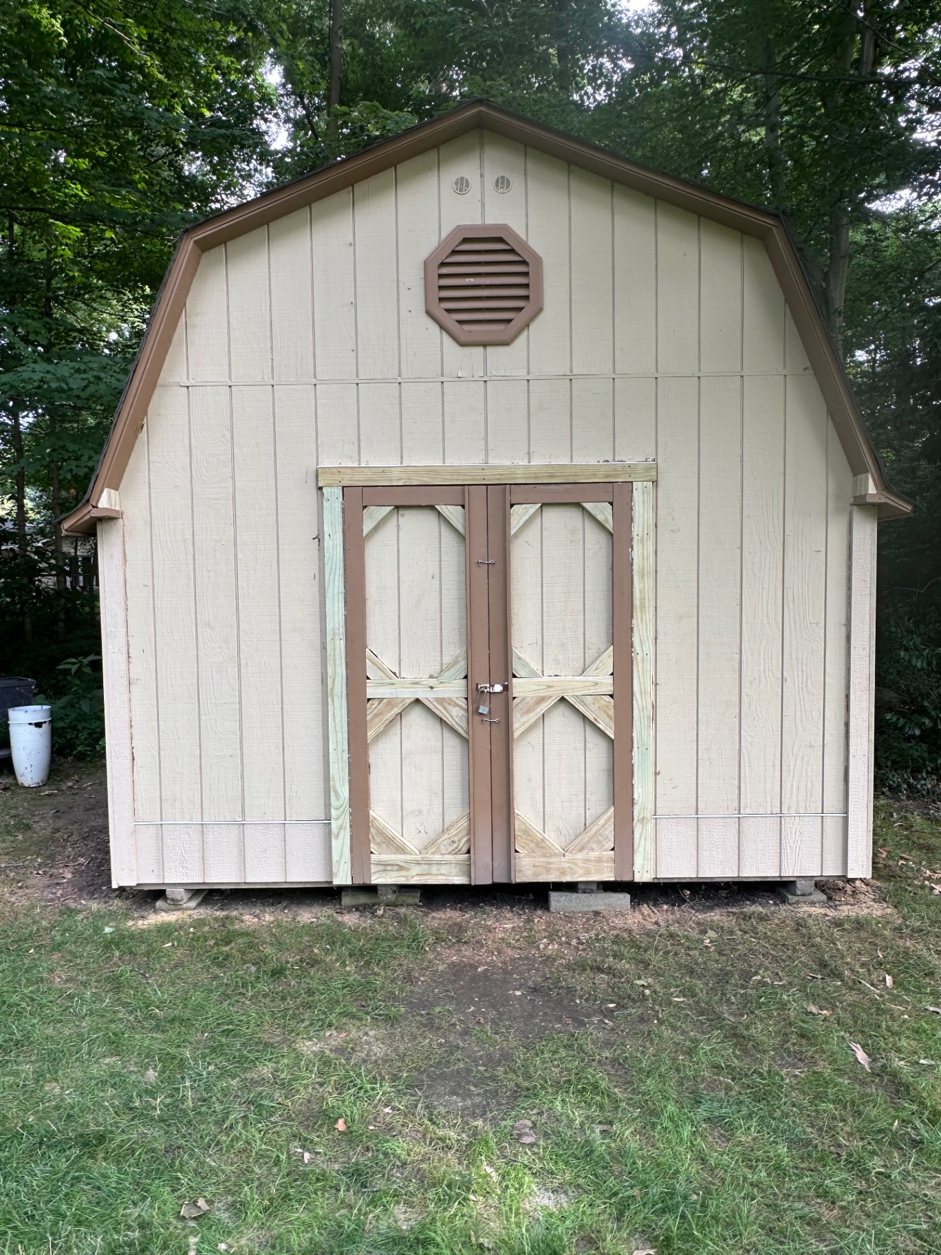 Completed shed siding and door replacement after mold removal