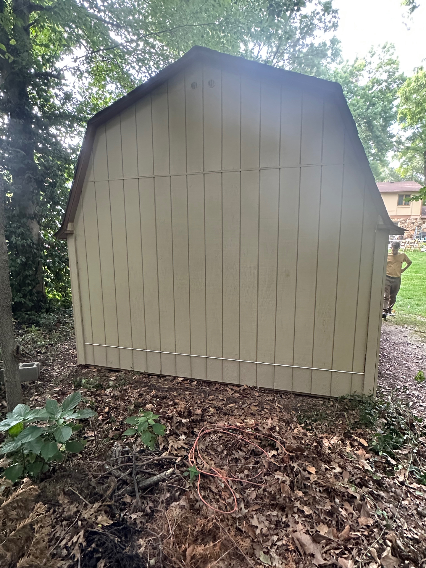 Shed siding job — mold removed and siding cleaned