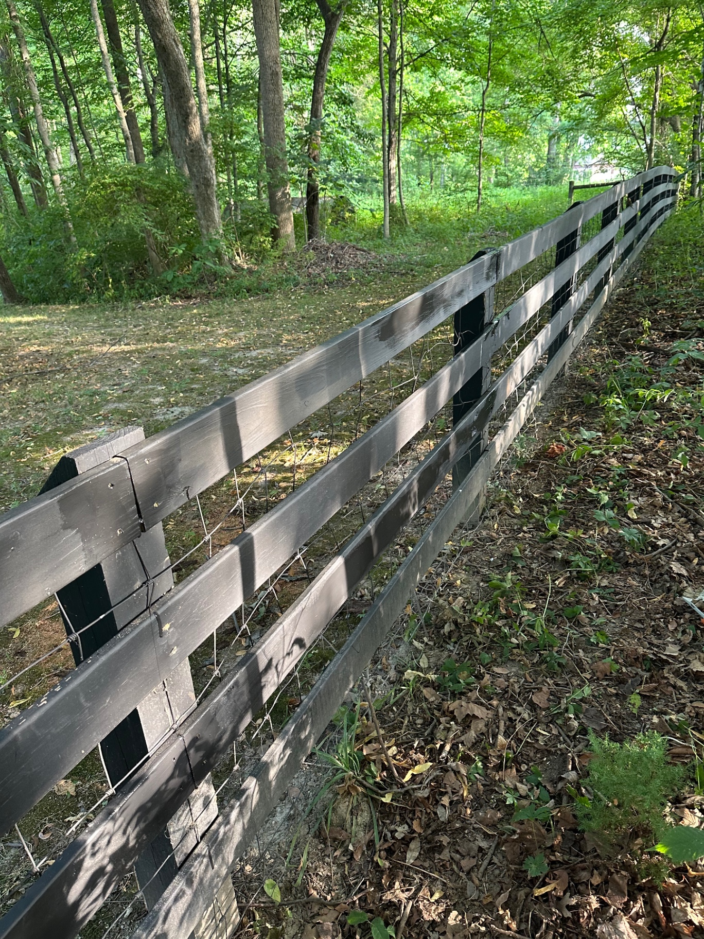 New four-board wood fence with wire mesh running along a wooded property line